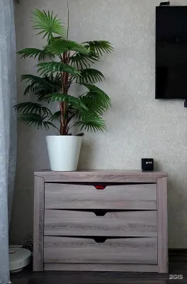 Елена Лапина