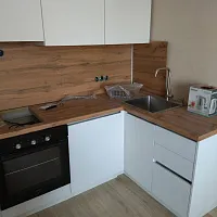 Инна Спешилова