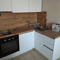 Инна Спешилова