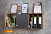 Лойс 88 (молодежная) Шкаф навесной Дуб золотистый / Графит