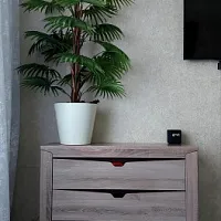 Елена Лапина